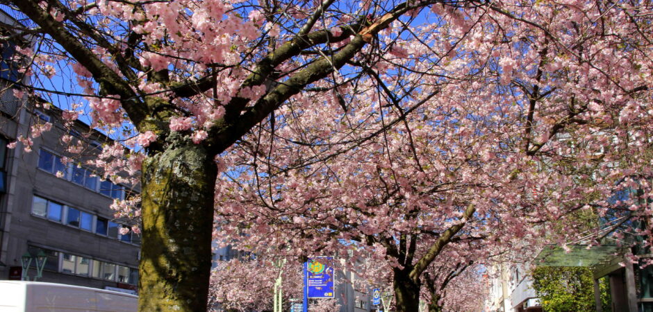 Willkommen bei ELSPER